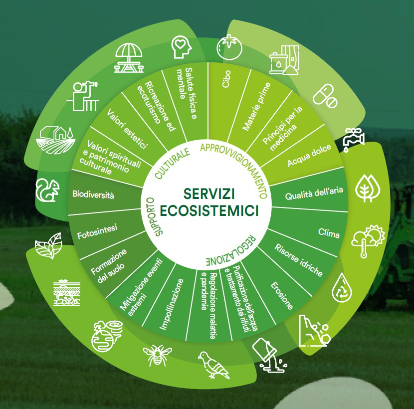 I servizi ecosistemici